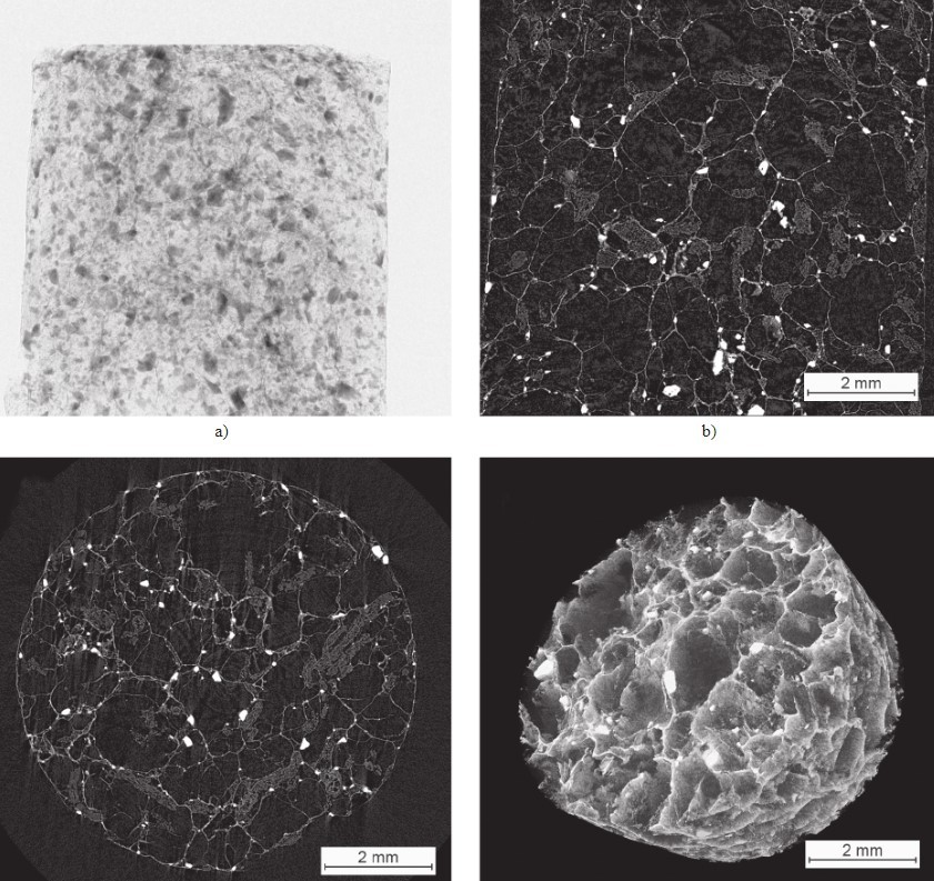 Micro-CT in Tissue Engineering Scaffolds Designed for Bone Regeneration: Principles and Application